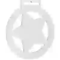 На картинке: Медаль Steel Star, белая на белом фоне